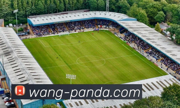 熊猫体育团队平台生态图