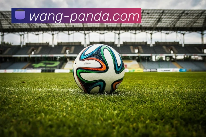 熊猫体育团队全站App